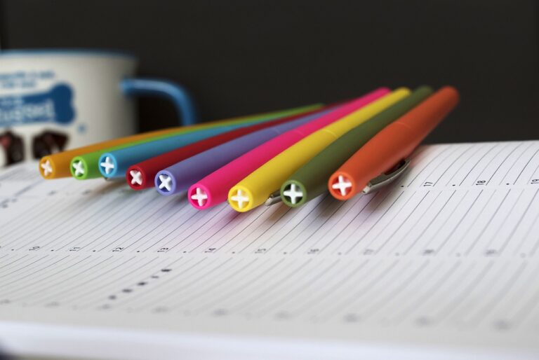 Addressing the Digital Gender Divide in Education