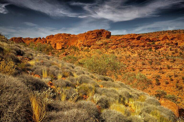 Traveling Solo as a Woman: Safety Tips and Empowering Experiences