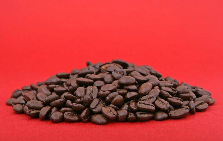 The Benefits of Passive Solar Heating: Harnessing the Sun’s Energy for Warmth