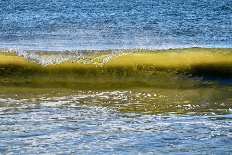 Sustainable Fashion in Travel: Eco-Friendly Clothing and Accessories for Wanderers